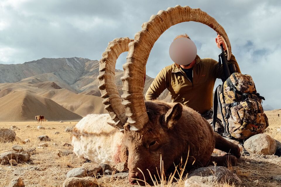 Hunting Mid Asian Ibex in Kyrgyzstan ALL INCLUSIVE