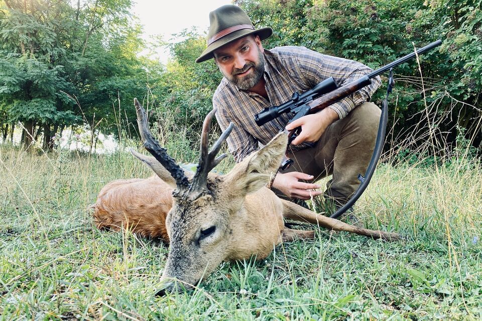 Roe Deer Hunting in Poland