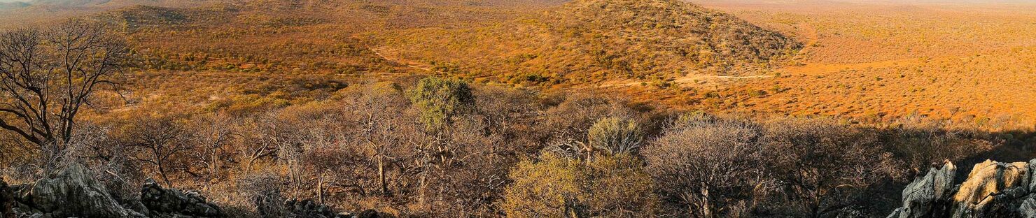 Africké safari v Namibii