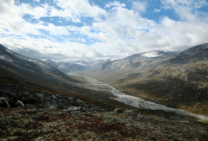 Reindeer hunting in Norway