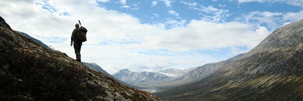 Reindeer hunting in Norway