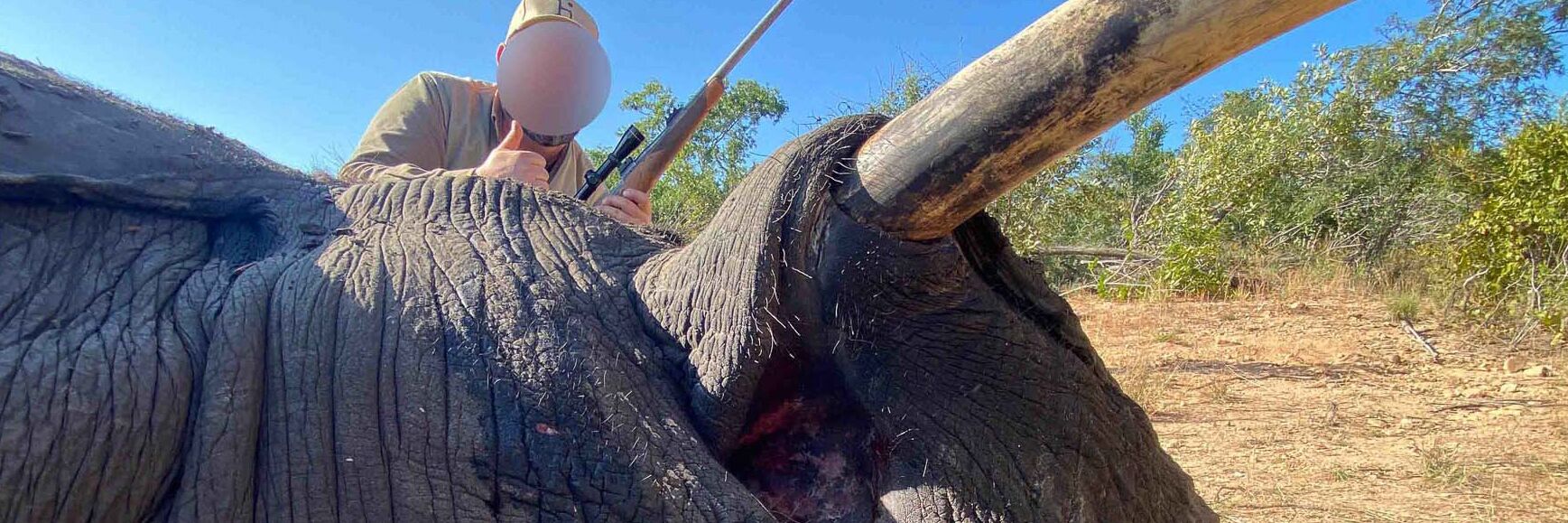 Elephant Hunt in Zimbabwe