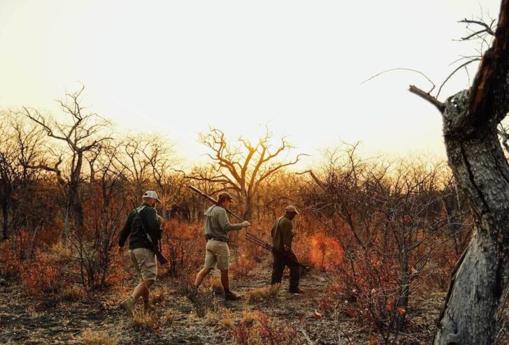 On the Trail of the Big Eland in Namibia