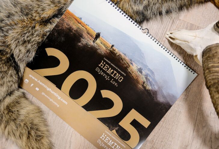 Calendar year 2025