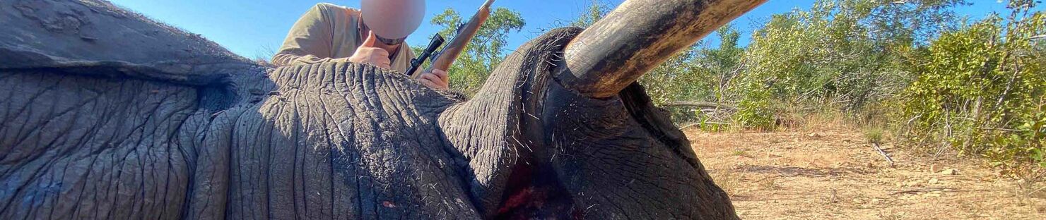 Elephant Hunt in Zimbabwe