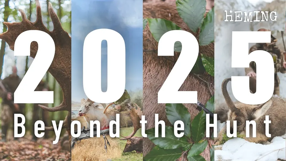 Video: SHOWREEL 2025