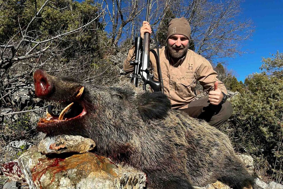 Individual Hunt for Big Tusker Wild Boars in Turkey