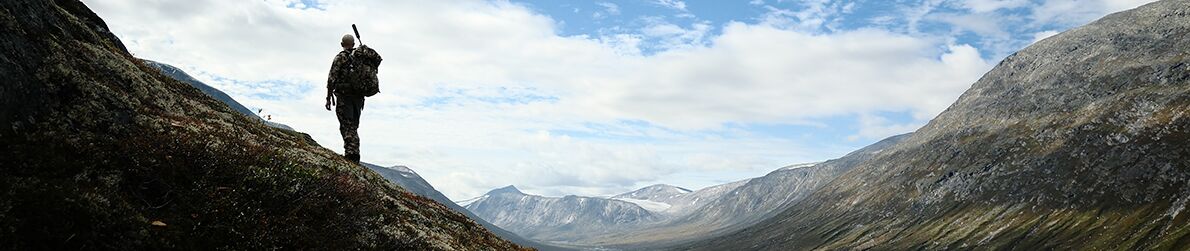 Reindeer hunting in Norway