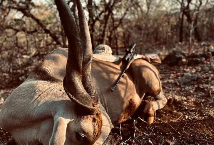 On the Trail of the Big Eland in Namibia