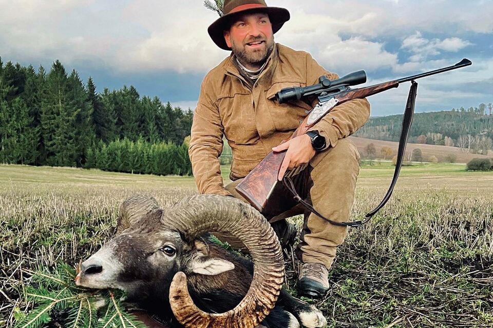 Medal-Winning Mouflon Hunting in the Czech Republic