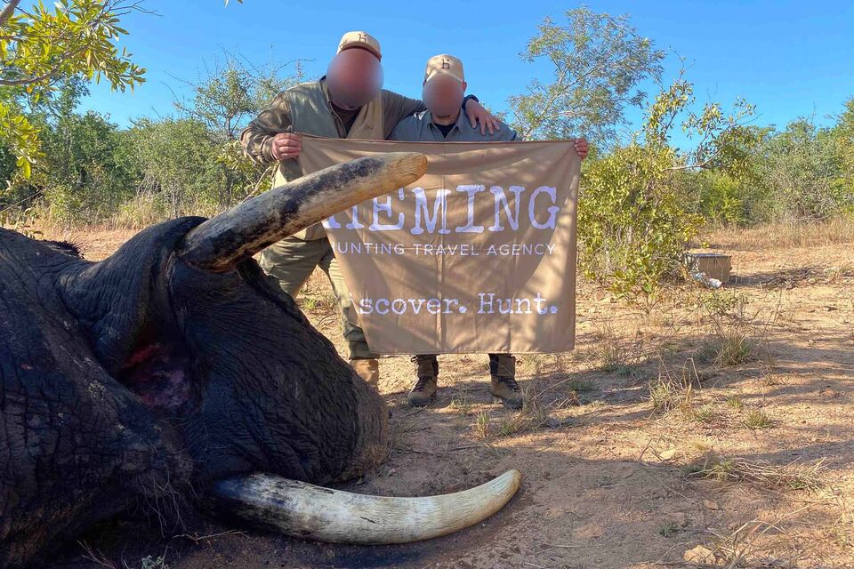 Elephant Hunt in Zimbabwe