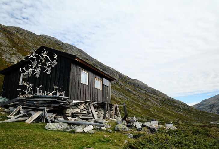 Reindeer hunting in Norway