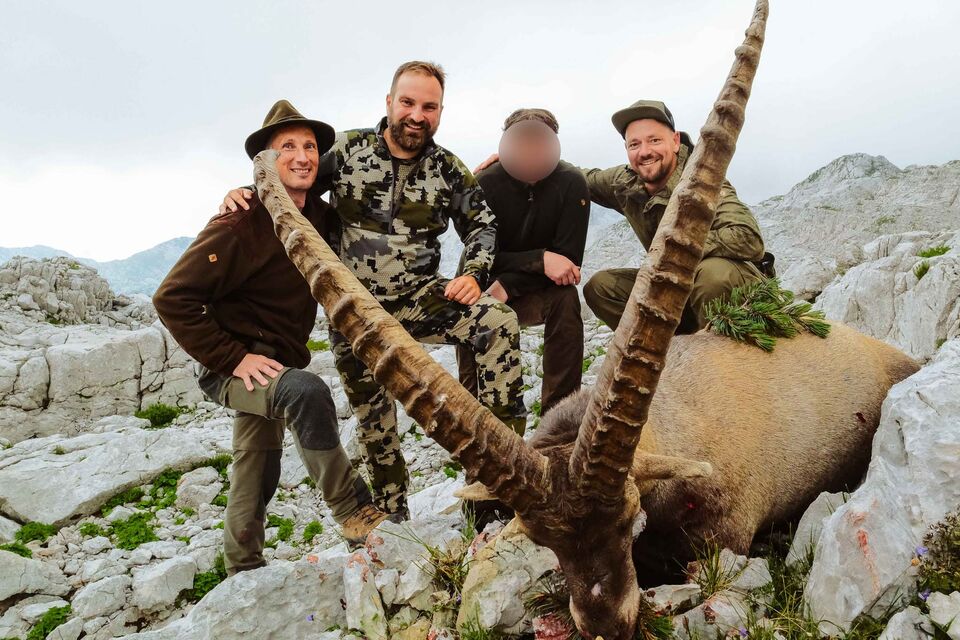 Hunting the Golden Alpine Ibex in Slovenia