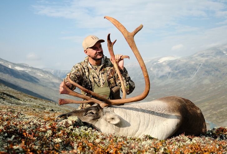 Reindeer hunting in Norway