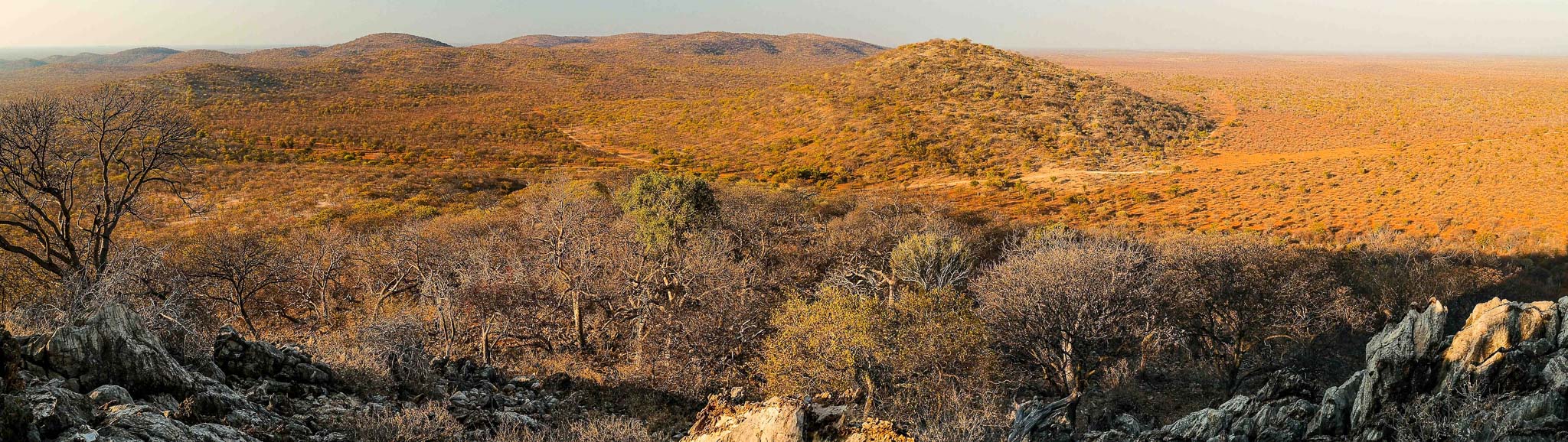 Management Safari Hunt in Namibia