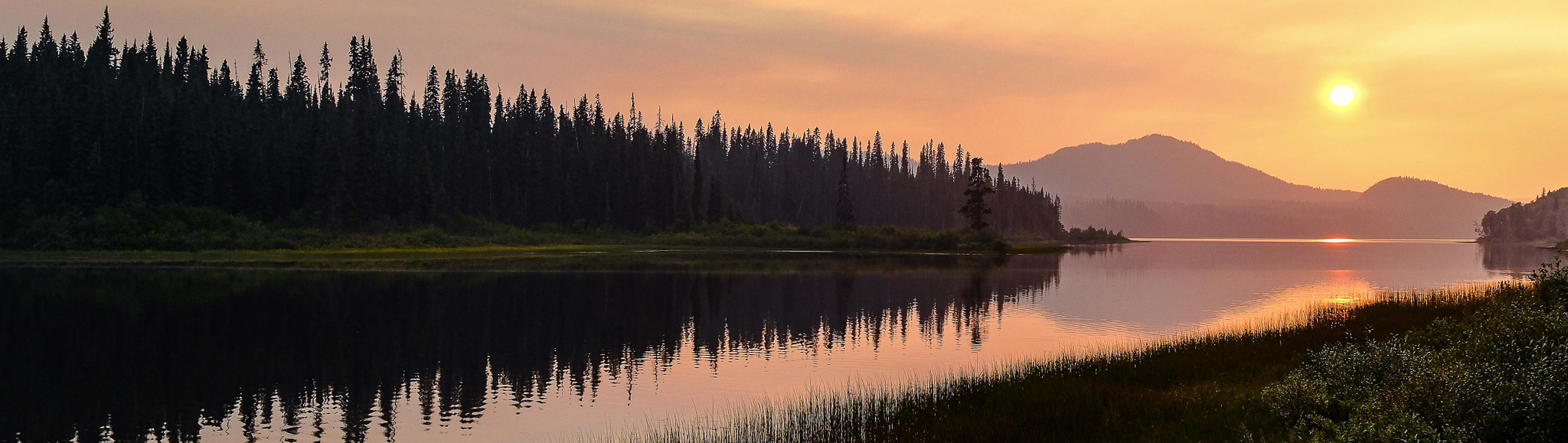 Hunting Black Bear "Baribal" in British Columbia