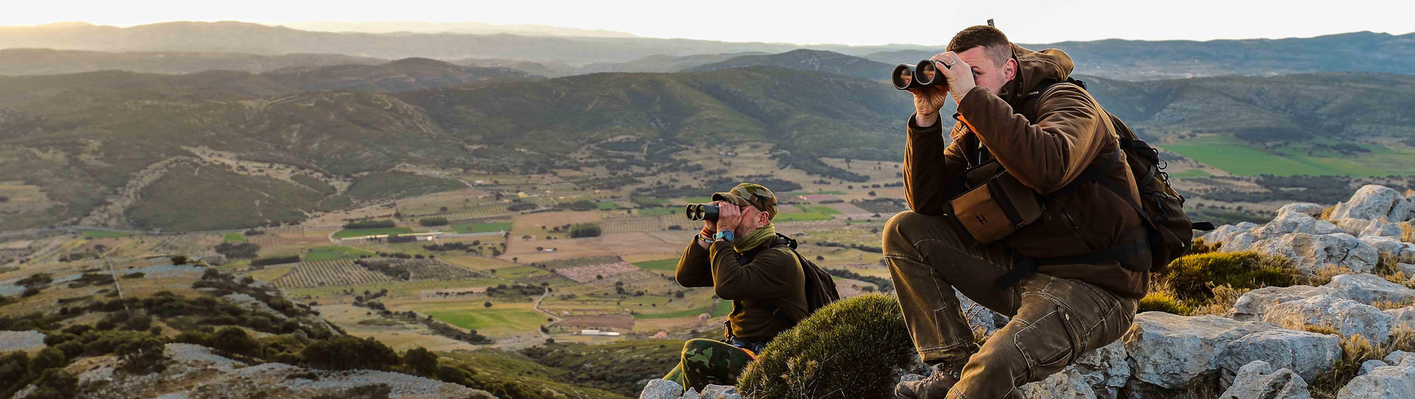 Roe Deer Hunting in Spain